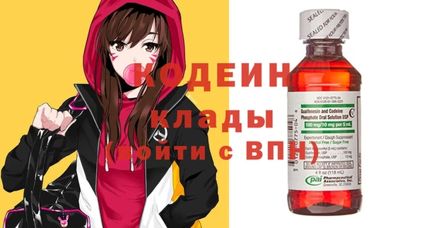 молекула духа Ладушкин