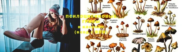 кокаин Михайлов