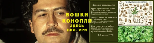 молекула духа Дмитровск