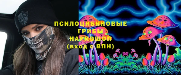 амф Надым