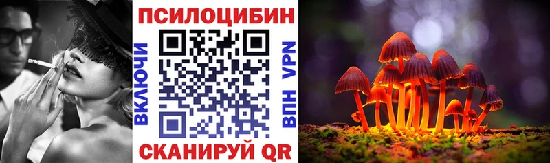площадка формула  Пролетарск  Галлюциногенные грибы прущие грибы 